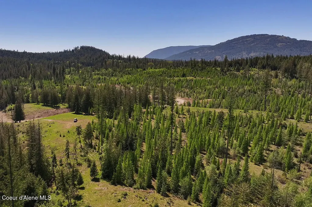 Estate Lot 16 Butternut Drive Sagle ID 83860