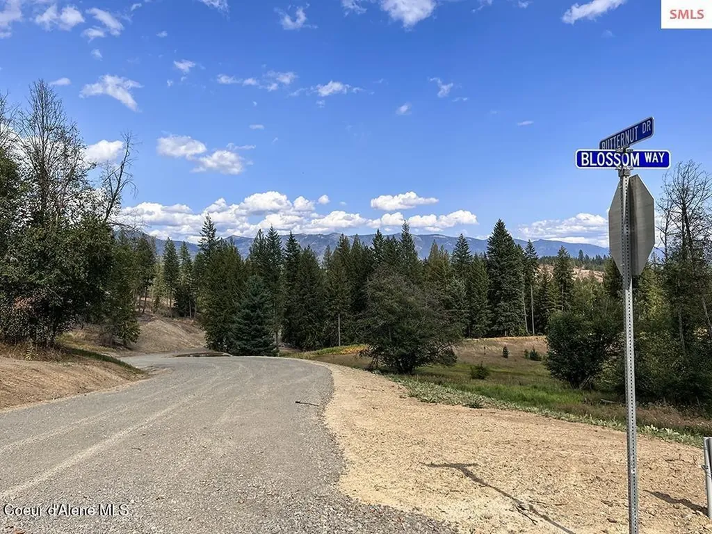 Estate Lot 16 Butternut Drive Sagle ID 83860