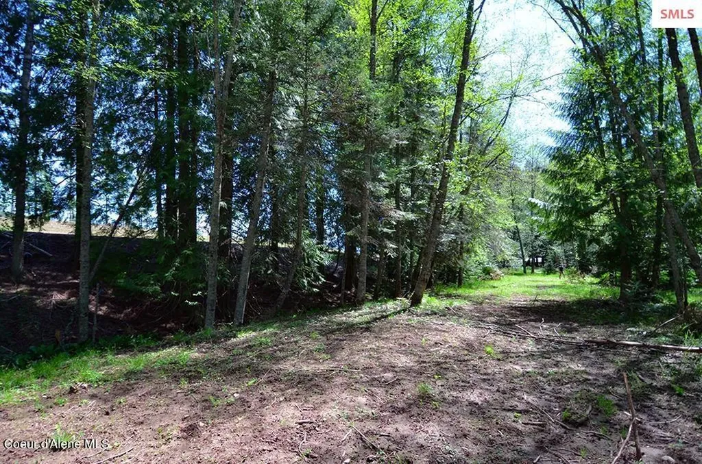 Estate Lot 16 Butternut Drive Sagle ID 83860