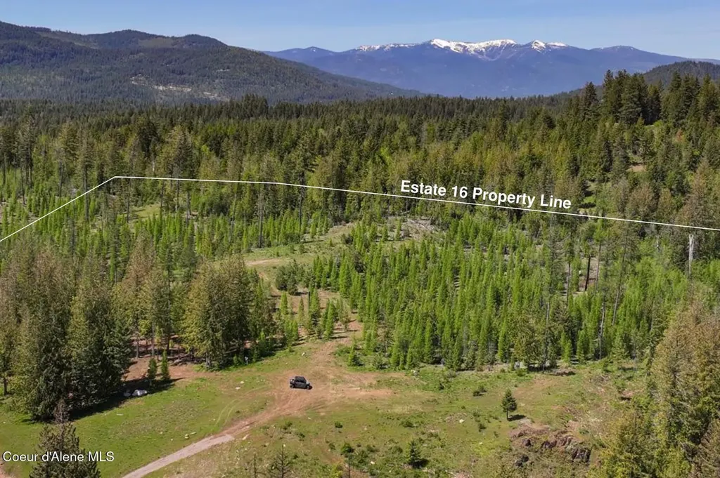 Estate Lot 16 Butternut Drive Sagle ID 83860