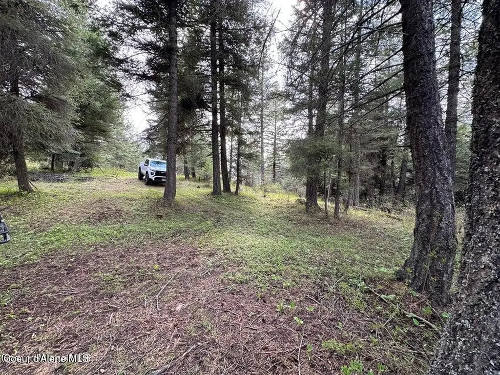 10 Acres Bill Morris Road Plummer ID 83851