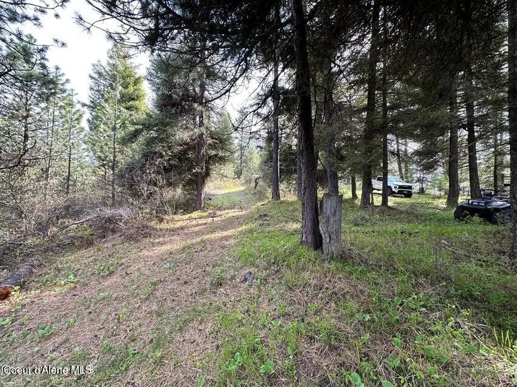 10 Acres Bill Morris Road Plummer ID 83851