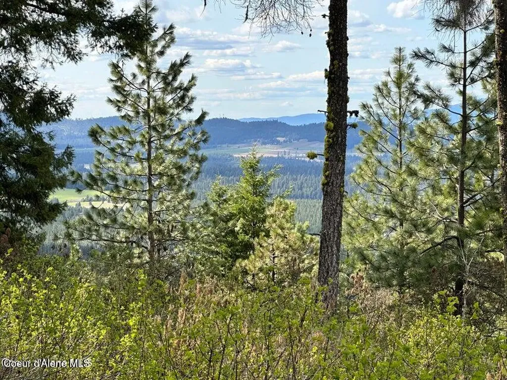 10 Acres Bill Morris Road Plummer ID 83851