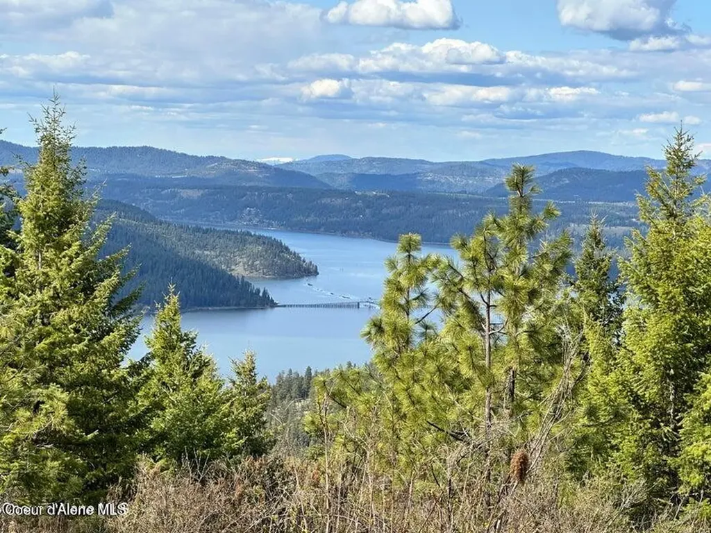 10 Acres Bill Morris Road Plummer ID 83851