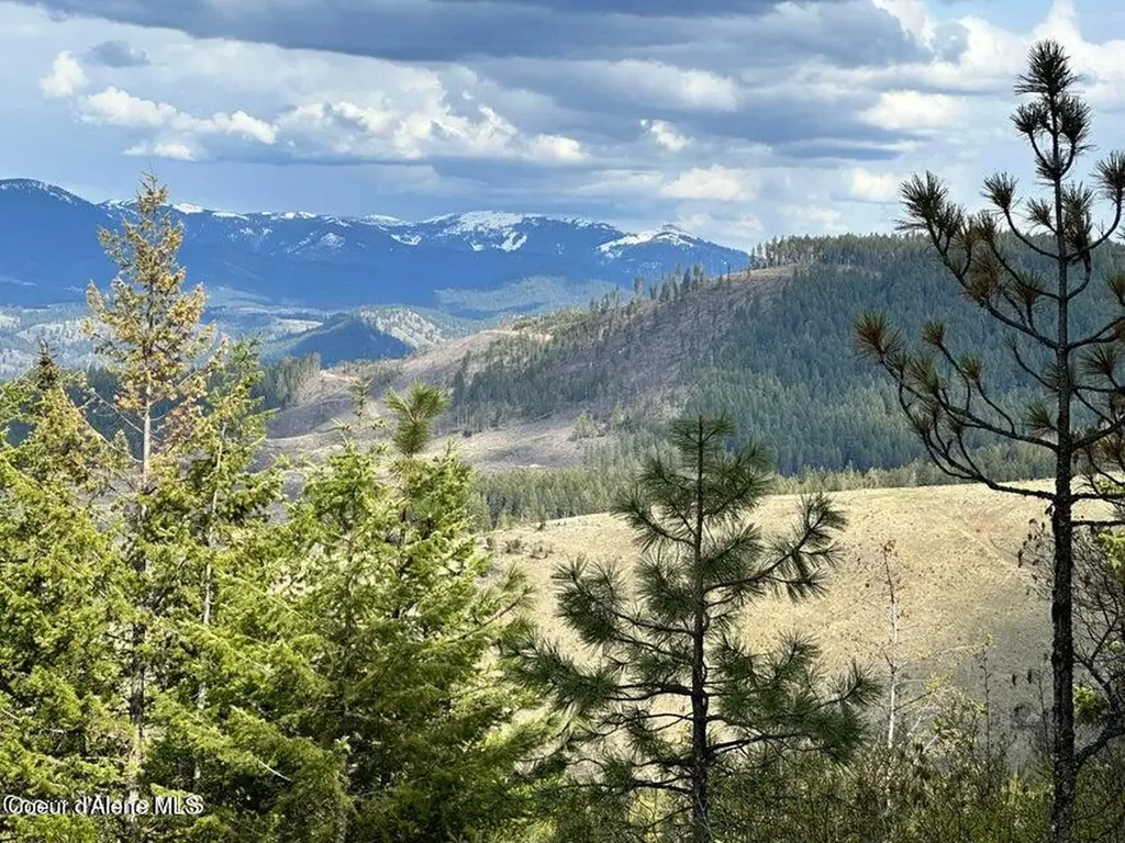 10 Acres Bill Morris Road Plummer ID 83851