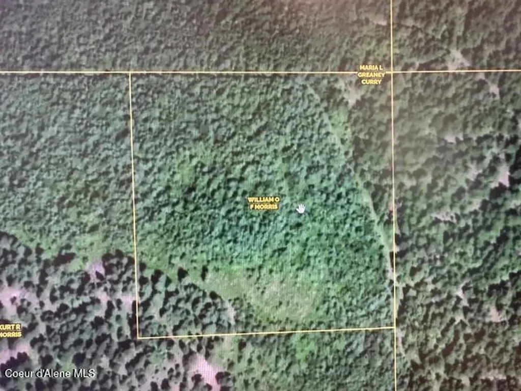 10 Acres Bill Morris Road Plummer ID 83851