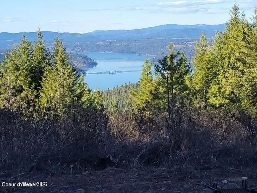 10 Acres Bill Morris Road Plummer ID 83851