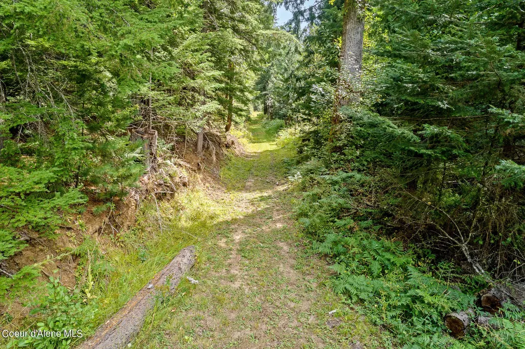 9076 Cda River Road Kingston ID 83839