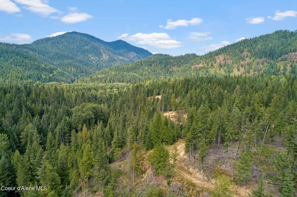 9076 Cda River Road Kingston ID 83839