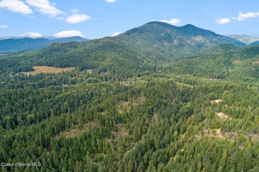 9076 Cda River Road Kingston ID 83839
