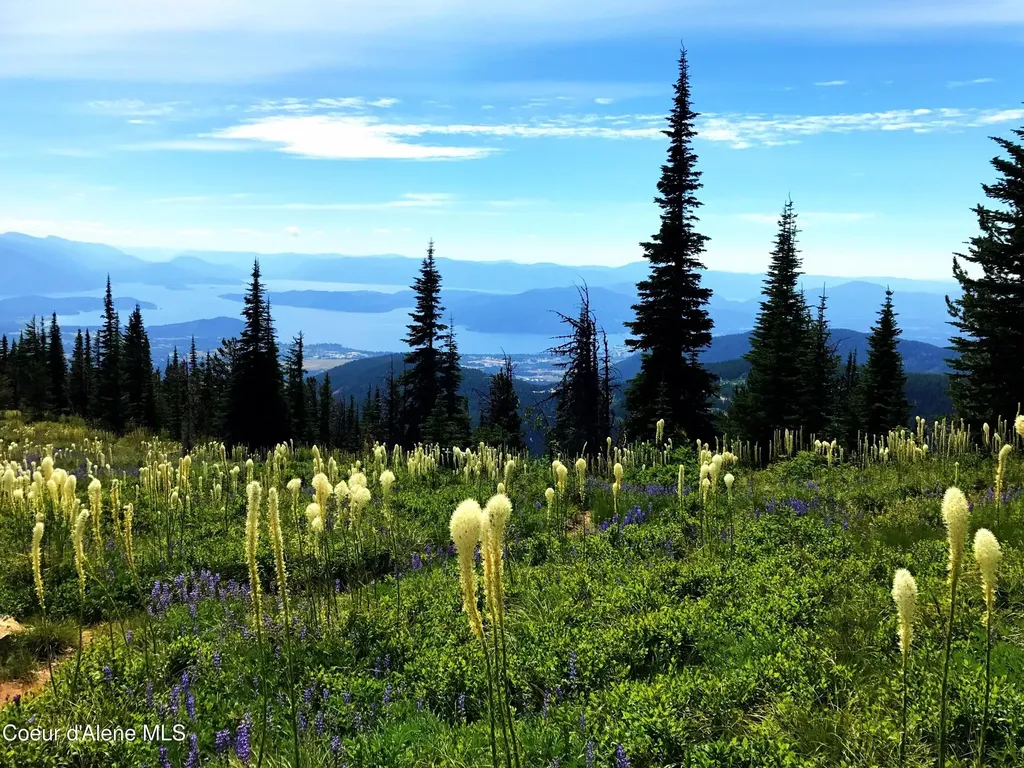 5 Crystal Springs Road Sandpoint ID 83864