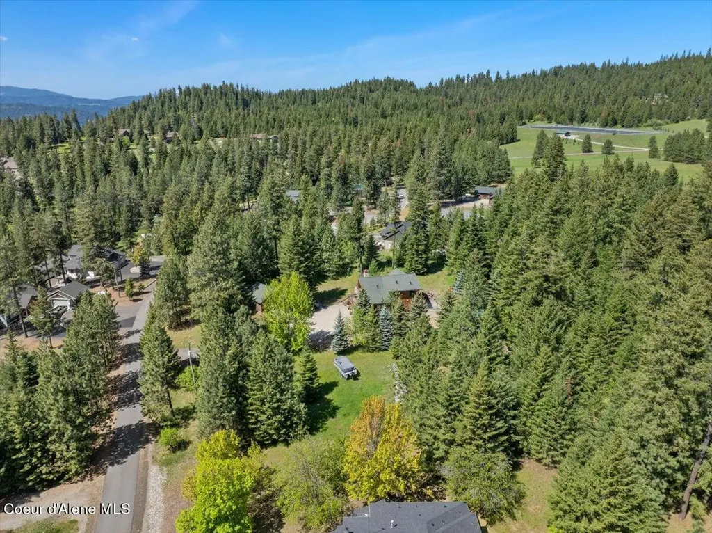 13764 S Ridgeview Drive Harrison ID 83833