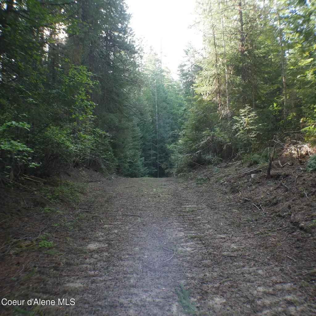 370 Hemlock Lane Fernwood ID 83830