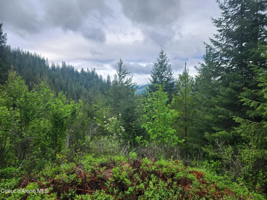 370 Hemlock Lane Fernwood ID 83830