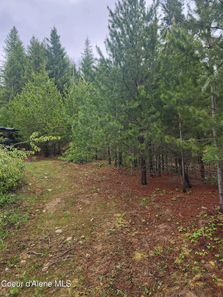 370 Hemlock Lane Fernwood ID 83830