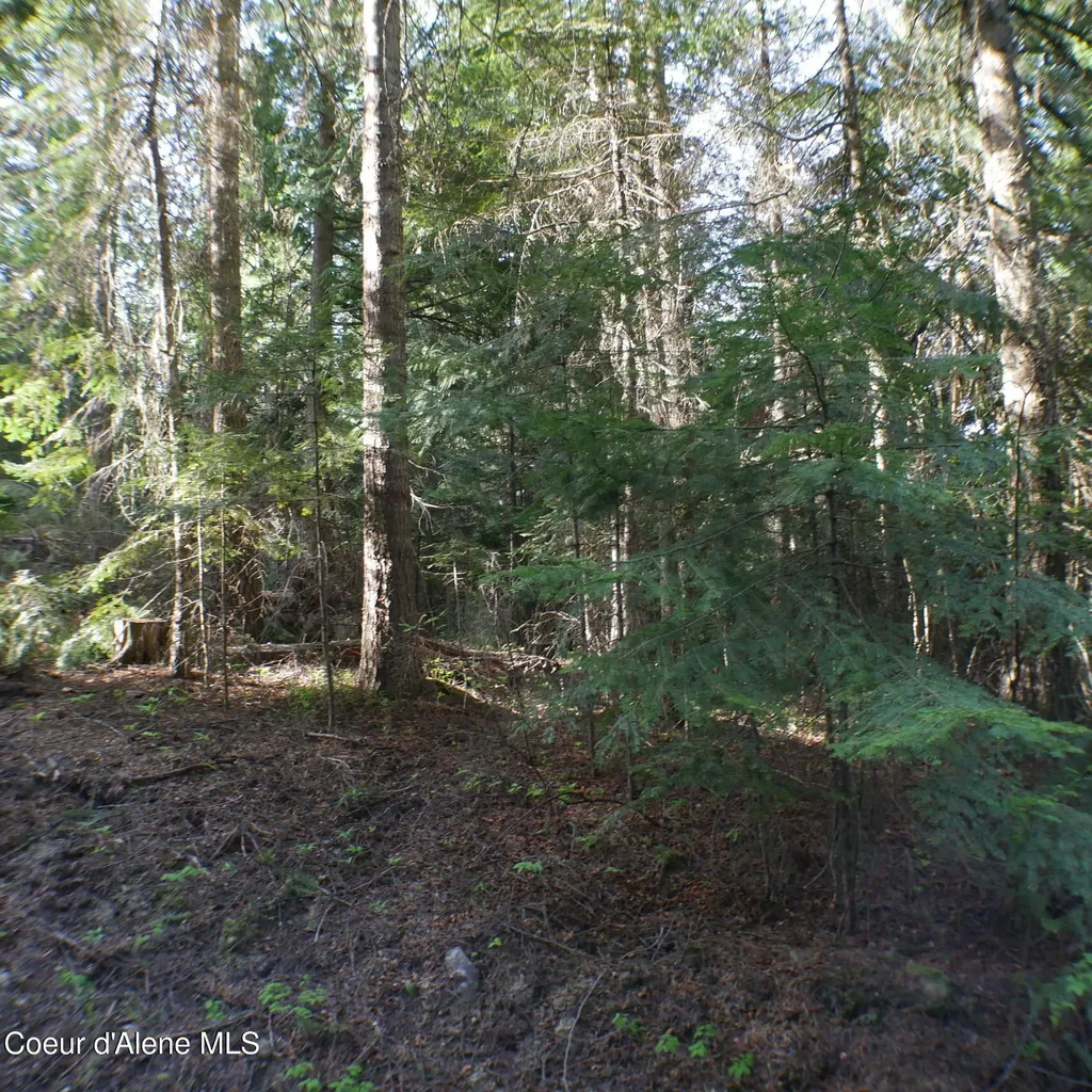 370 Hemlock Lane Fernwood ID 83830