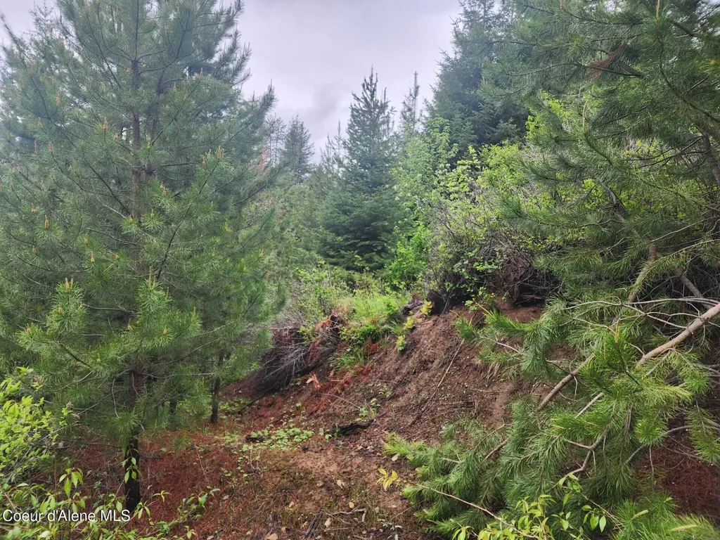 370 Hemlock Lane Fernwood ID 83830