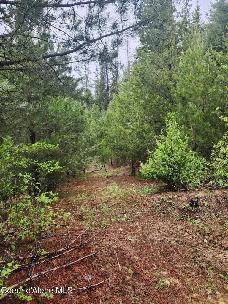 370 Hemlock Lane Fernwood ID 83830