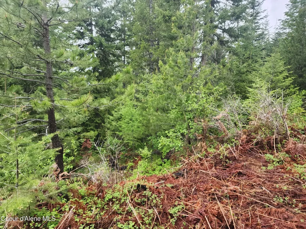 370 Hemlock Lane Fernwood ID 83830
