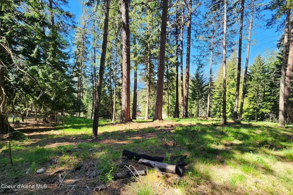 Nna E David Thompson Road Hope ID 83836
