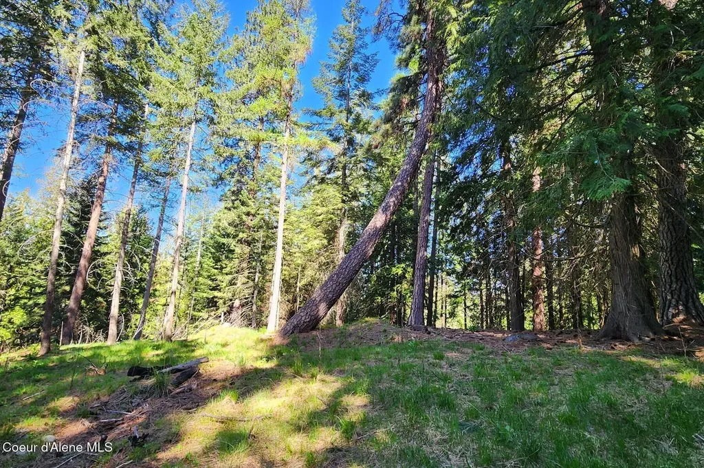 Nna E David Thompson Road Hope ID 83836