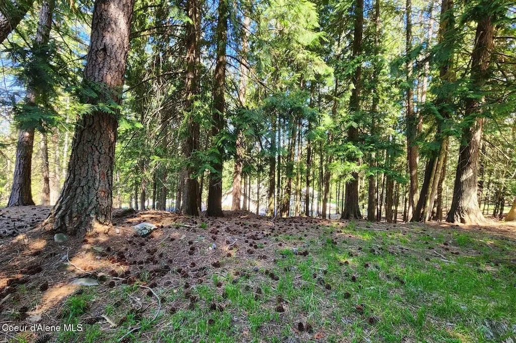 Nna E David Thompson Road Hope ID 83836