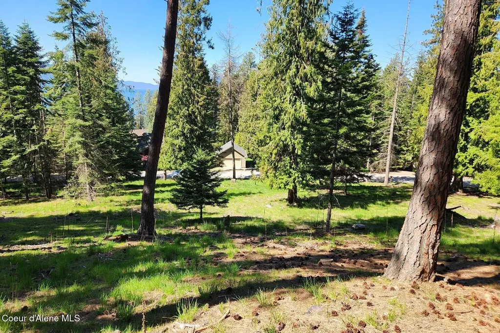 Nna E David Thompson Road Hope ID 83836