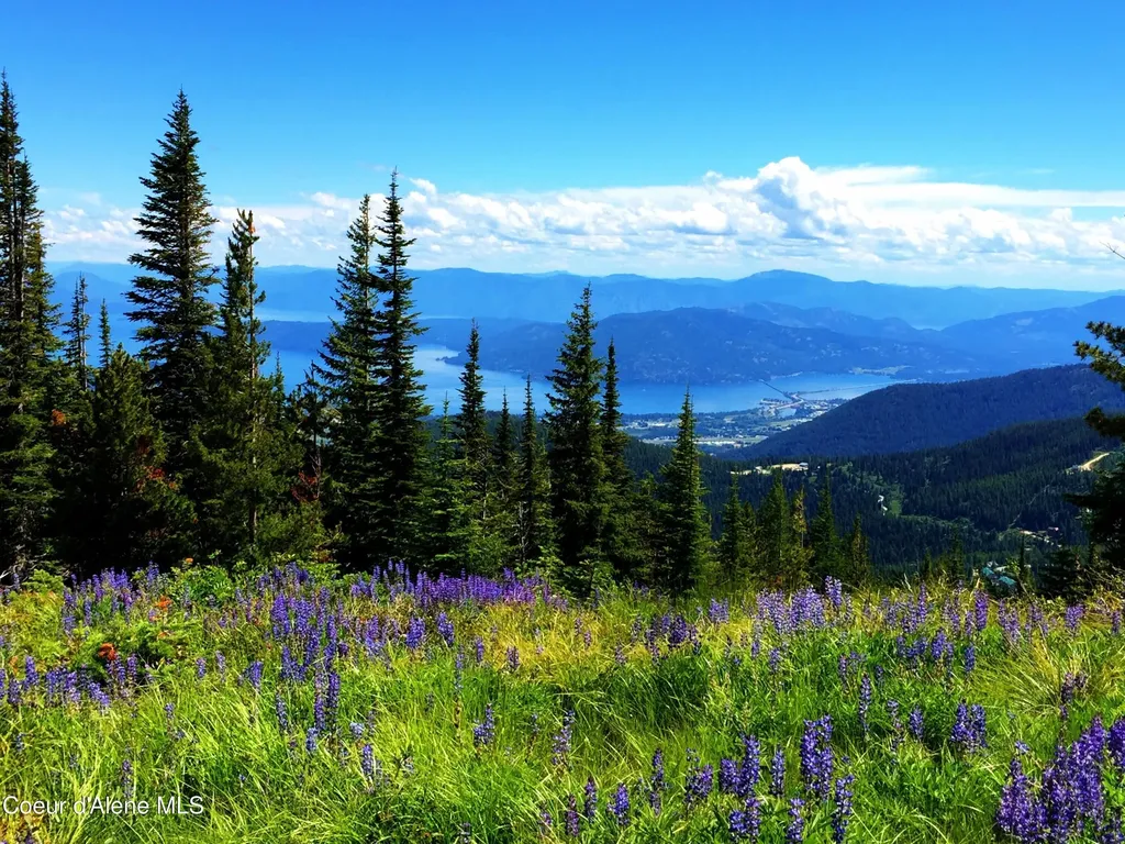 1 Crystal Springs Road Sandpoint ID 83864