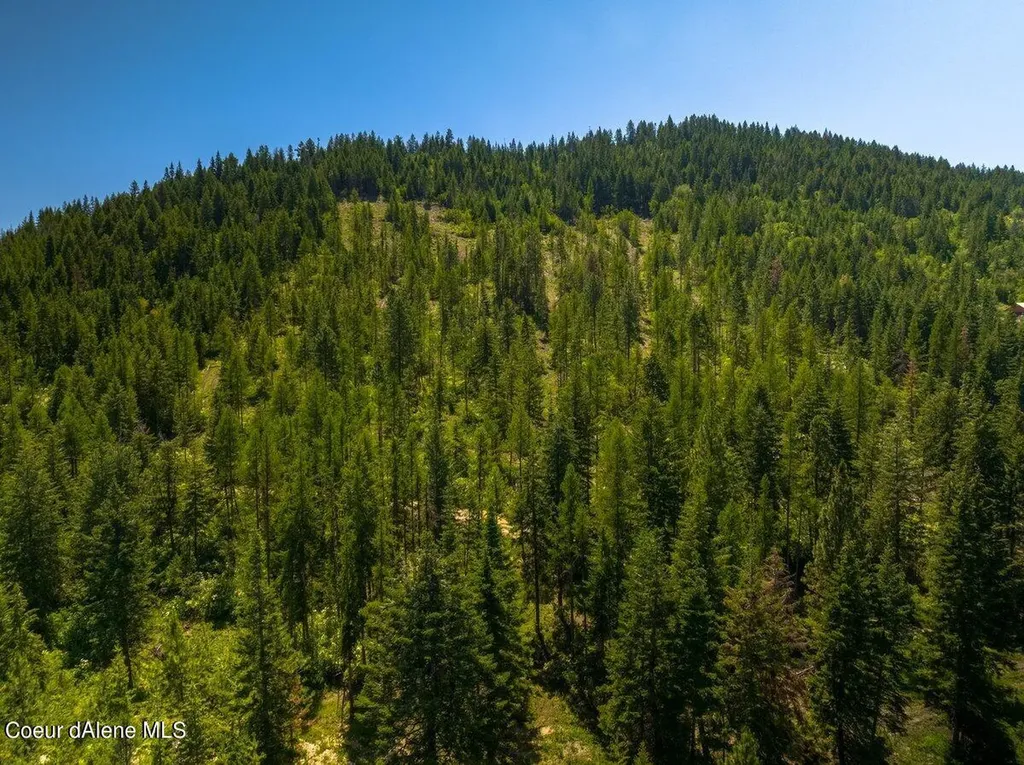 7742 W Radford Lane Worley ID 83876