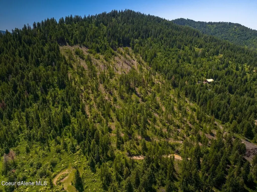 7742 W Radford Lane Worley ID 83876