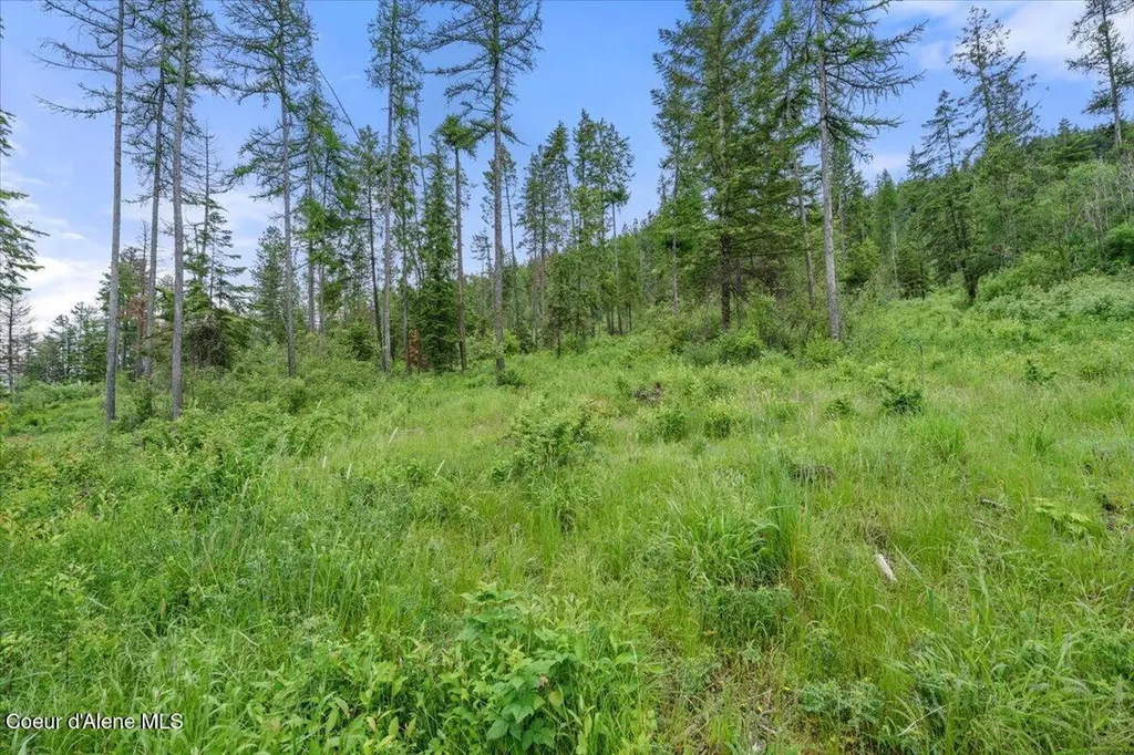 7742 W Radford Lane Worley ID 83876