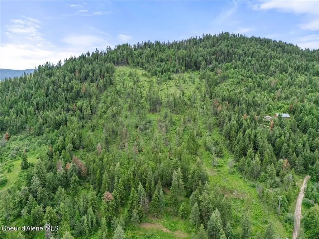 7742 W Radford Lane Worley ID 83876