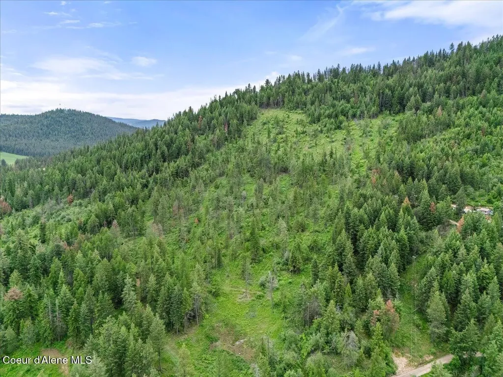 7742 W Radford Lane Worley ID 83876