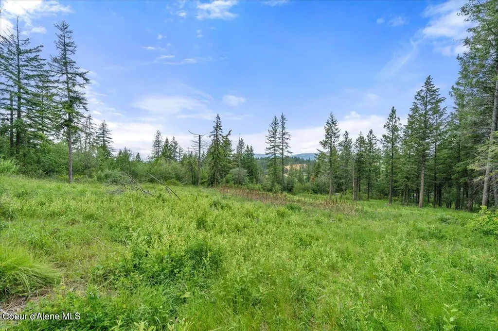 7742 W Radford Lane Worley ID 83876