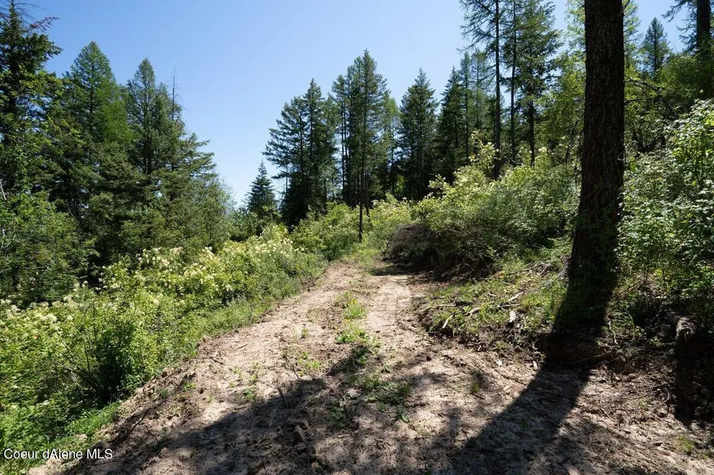 7742 W Radford Lane Worley ID 83876