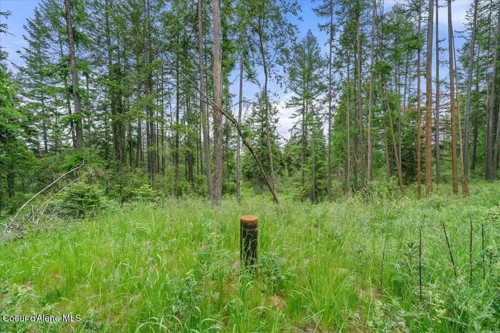 7742 W Radford Lane Worley ID 83876