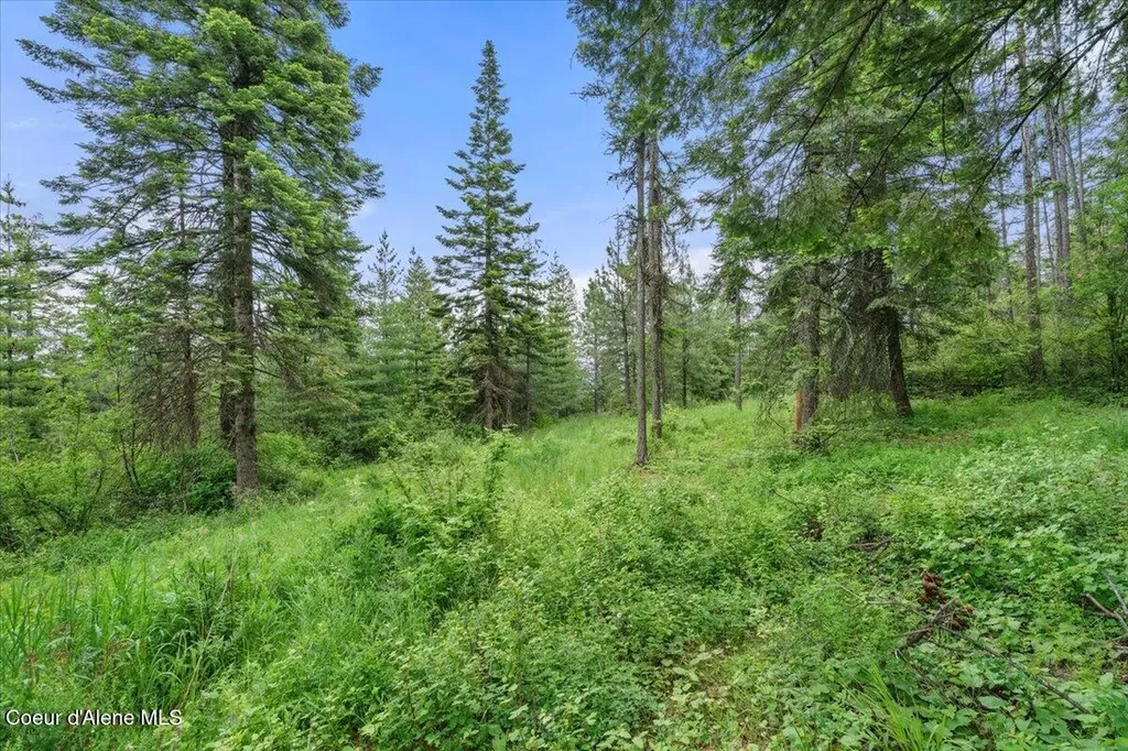 7728 W Radford Lane Worley ID 83876