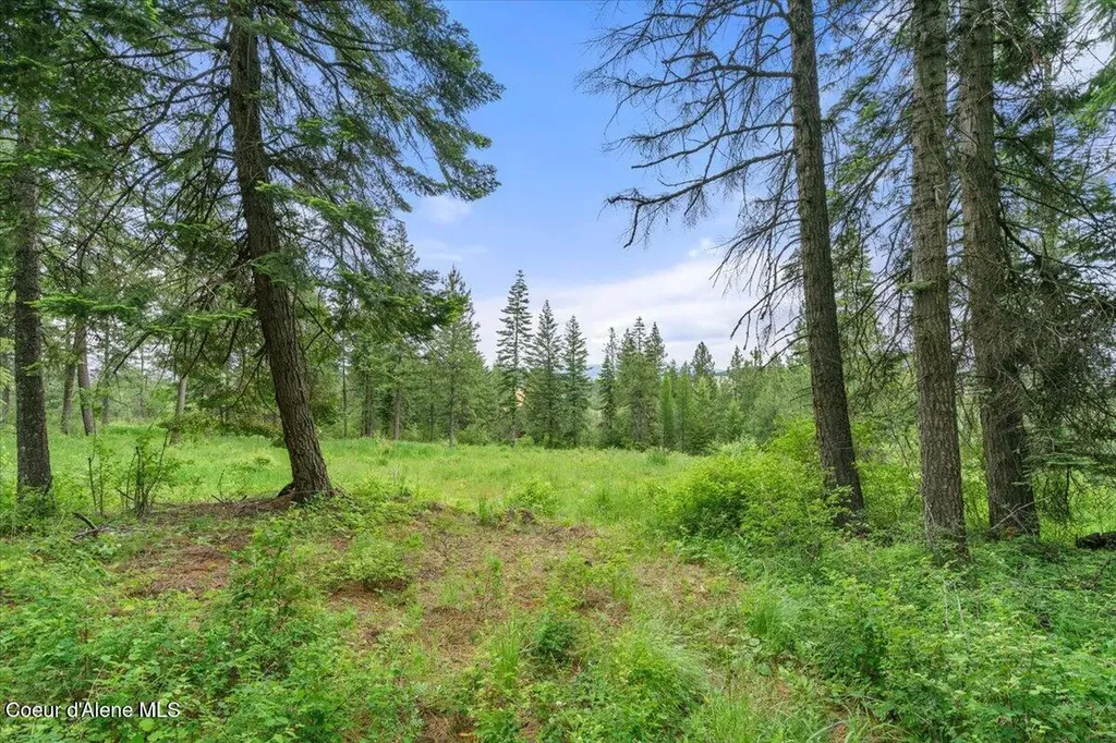 7728 W Radford Lane Worley ID 83876