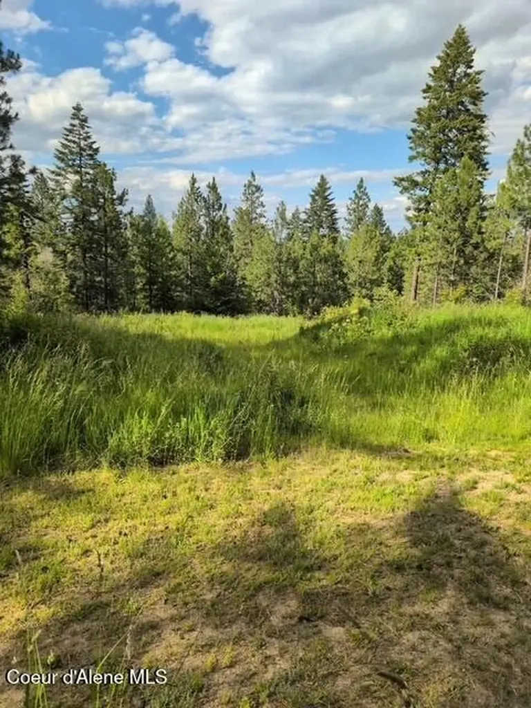 7728 W Radford Lane Worley ID 83876