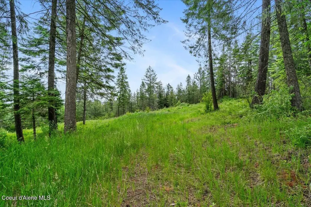 7728 W Radford Lane Worley ID 83876