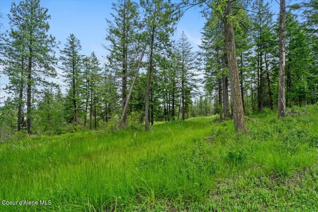7728 W Radford Lane Worley ID 83876