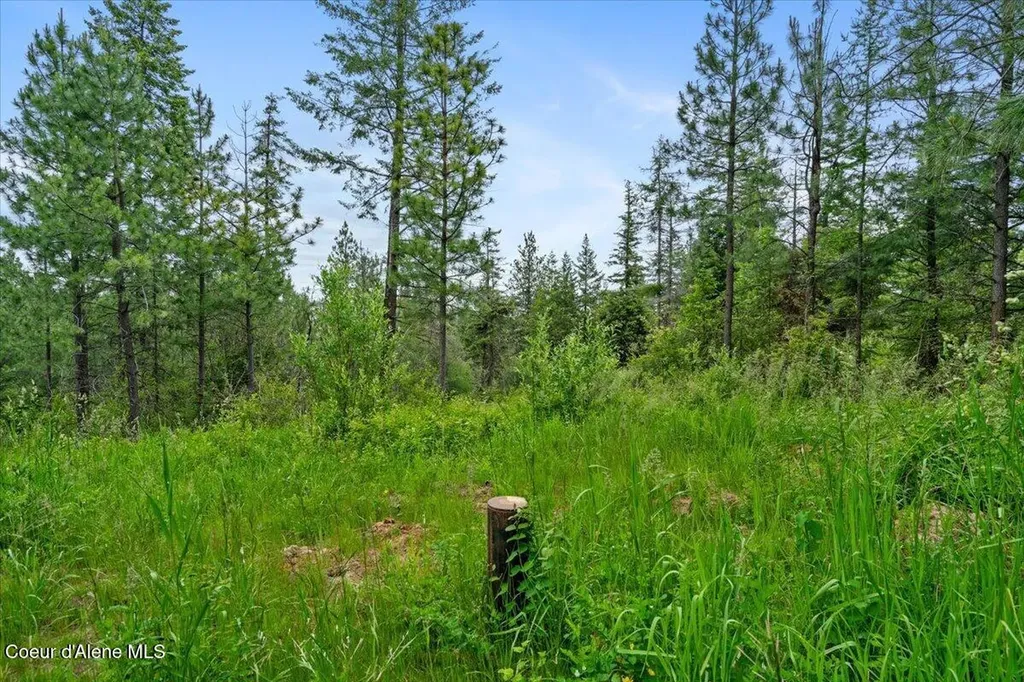 7728 W Radford Lane Worley ID 83876