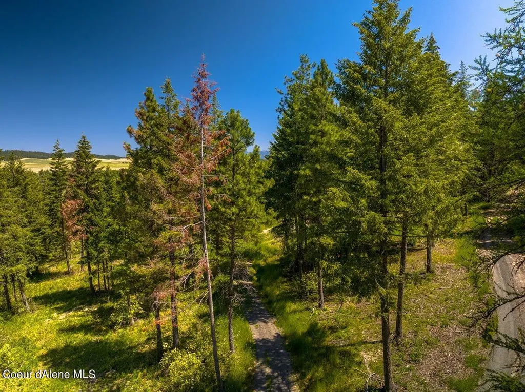 7728 W Radford Lane Worley ID 83876