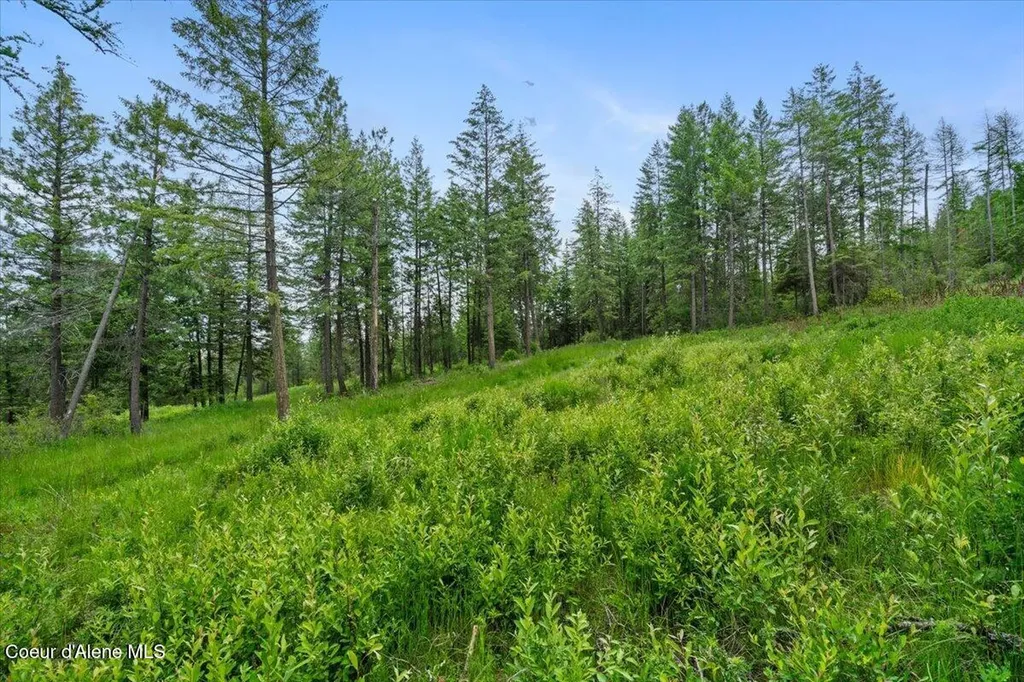 7728 W Radford Lane Worley ID 83876