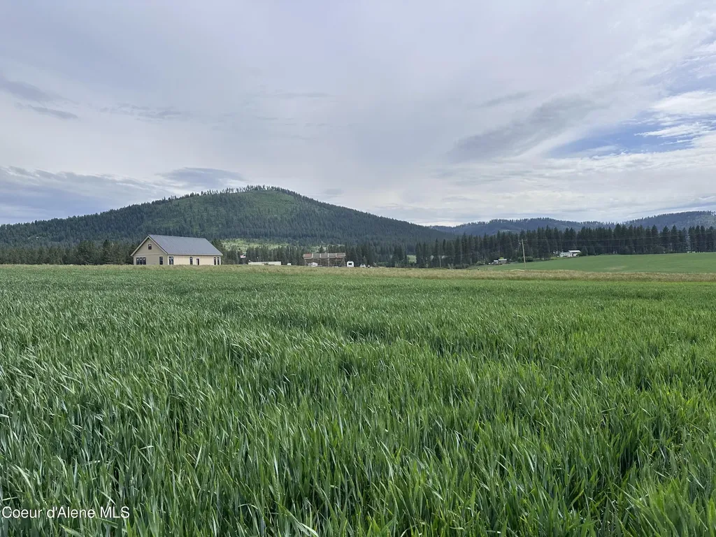 783 Lot D Old Mills Road Desmet ID 83824