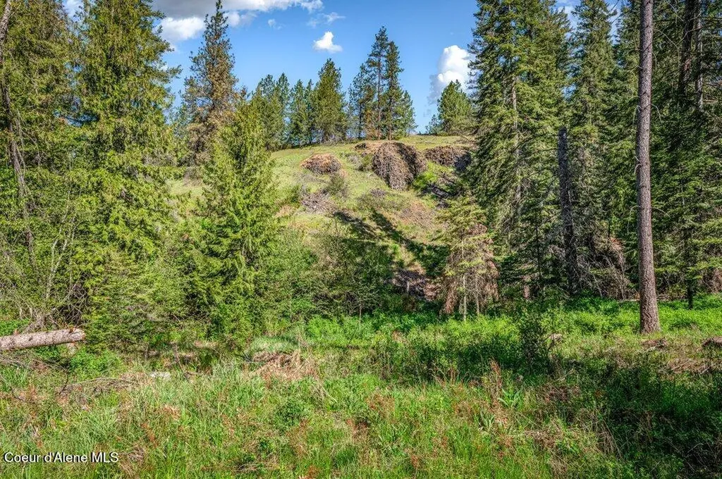 Nka E Burma Road Harrison ID 83833
