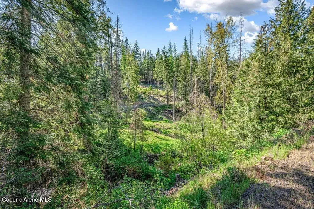 Nka E Burma Road Harrison ID 83833