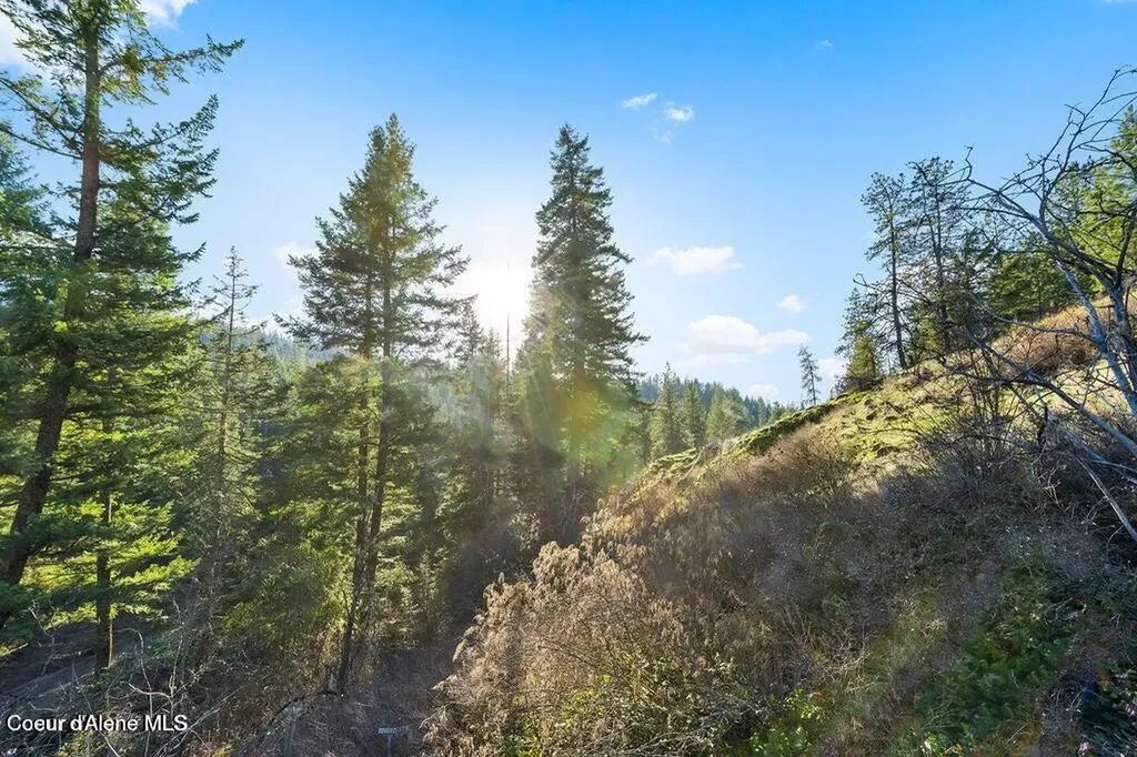 Nka E Burma Road Harrison ID 83833