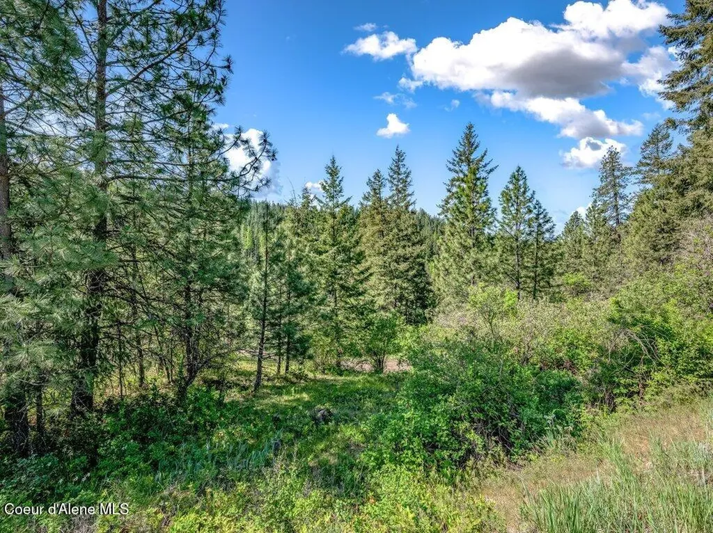 Nka E Burma Road Harrison ID 83833