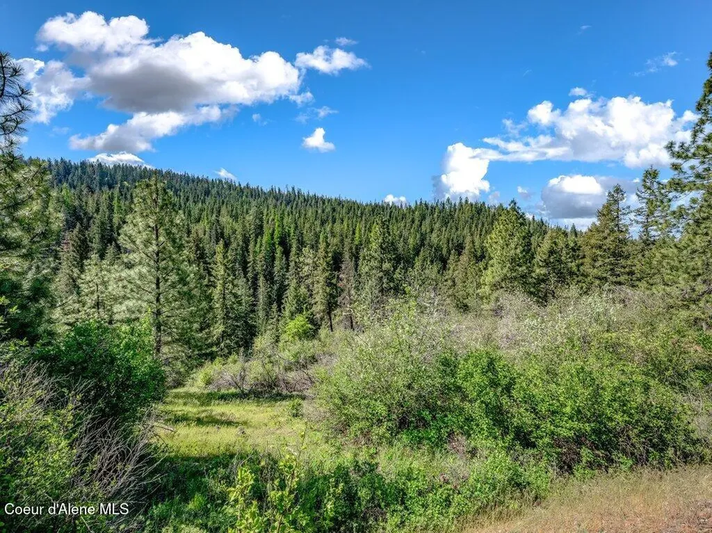 Nka E Burma Road Harrison ID 83833